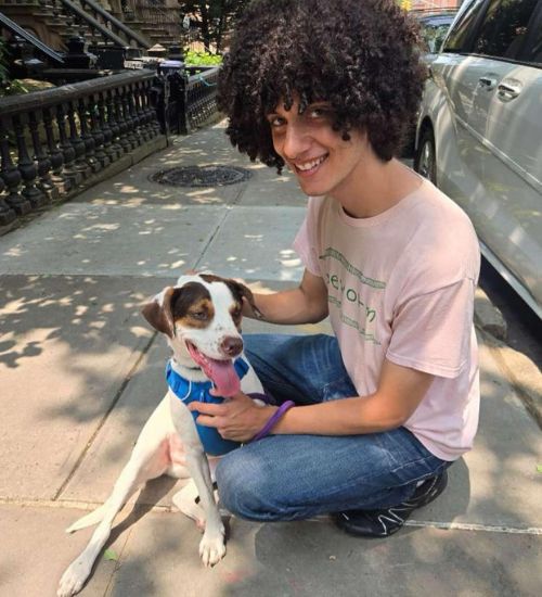 GoDog Dog Walking Jason Owner