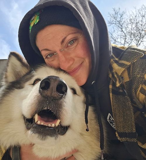 GoDog Dog Walking Jason Owner