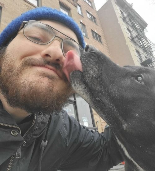 Go Dog William Brooklyn Dog Walker