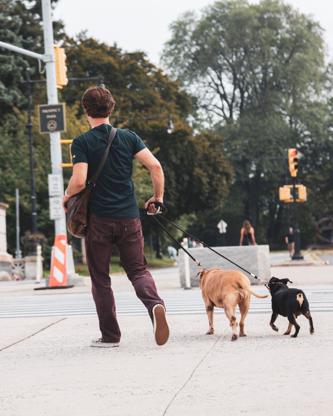 Let's Celebrate 15 Years of GoDoG in BrooklYn!