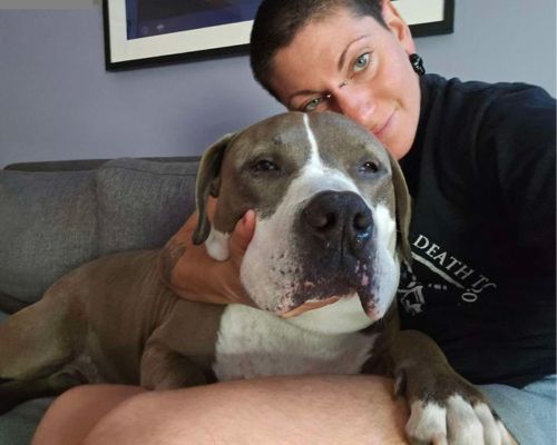 dog sitting brooklyn NYC